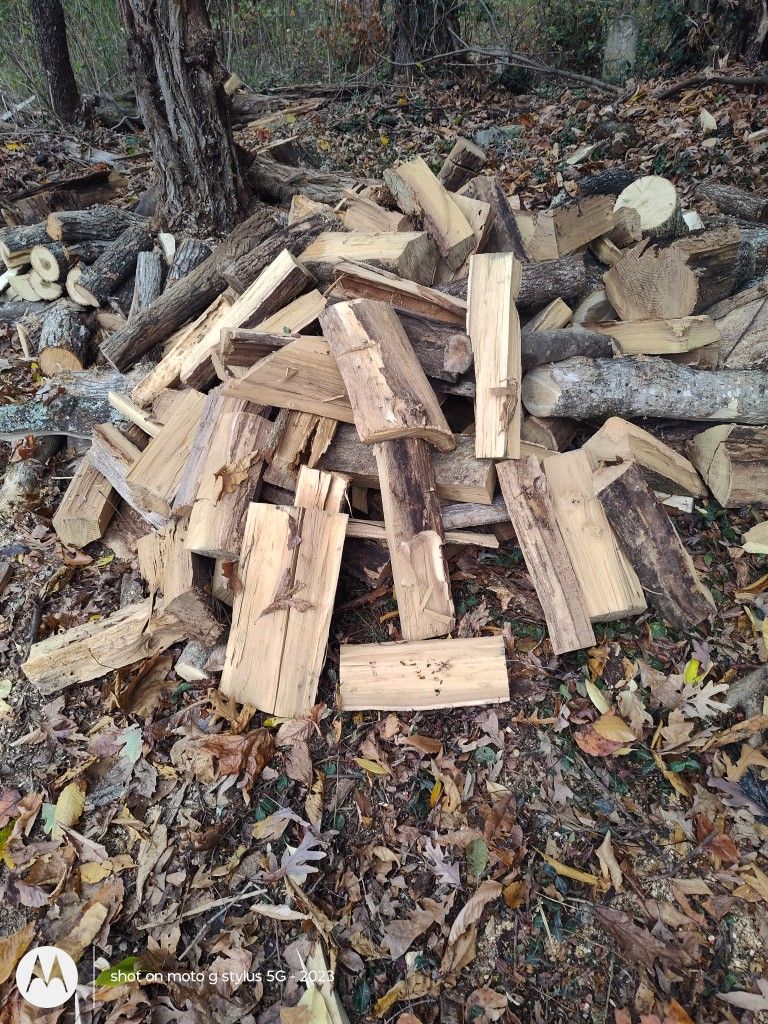 Locus Red And White Oak Fire Wood