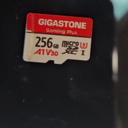 Gigastone Gaming Plus Memory Card 