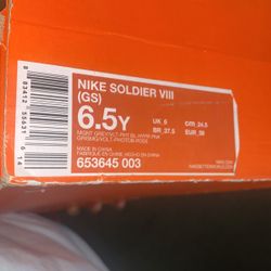 GS LeBron James Shoes