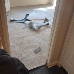 Carpet Installation 