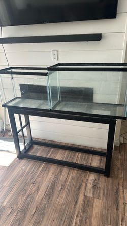 Two fish tanks with stand