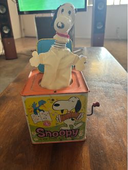 Snoopy in the box