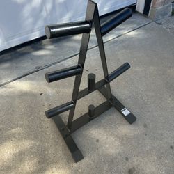 CAP 2 In Olympic Plate Tree Storage Rack $50   