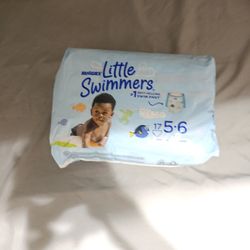 Little Swimmers 