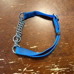 Dog Collar FREE