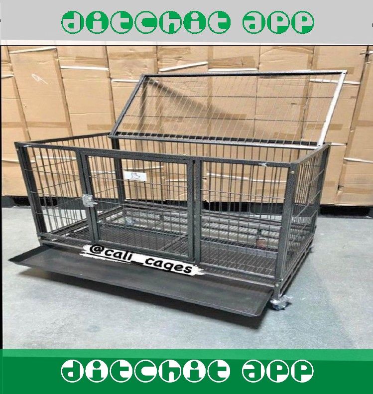 Provide a Loving Home with Dog Pet Cages and Kennels thus person