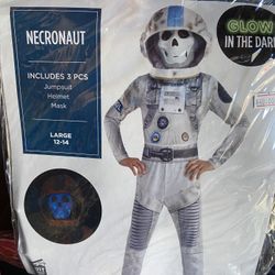 Halloween Costume 