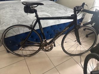 Cannondale synapse size 56