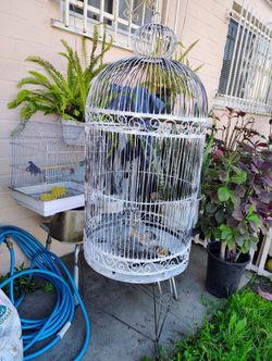 PARROT 🦜 CAGE FOR SALE