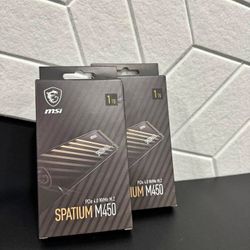 MSI Spatium M450 1tb