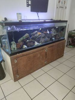 125 g Aquarium