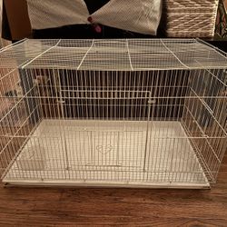 Bird Cage - Jaula Para Pájaro 