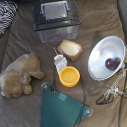 Reptile Equipment "Starter Kit"
