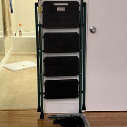 4-step Ladder (barely used) 