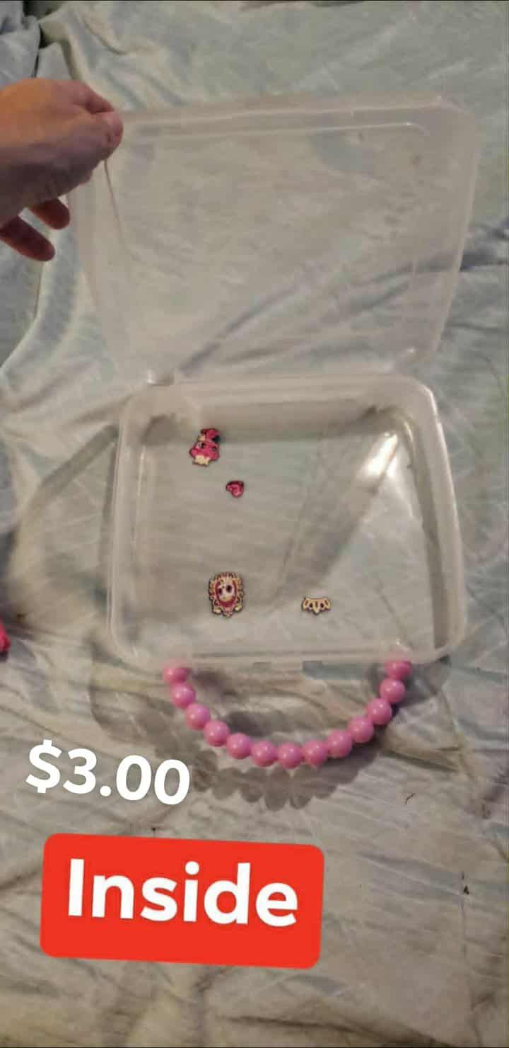 🩷 Plastic Clear Pink Box - Still Available