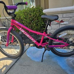 Specialized Bike 20'