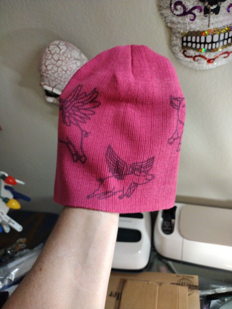 When Pics Fly Beanie