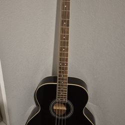 4 String Bass Guitar 