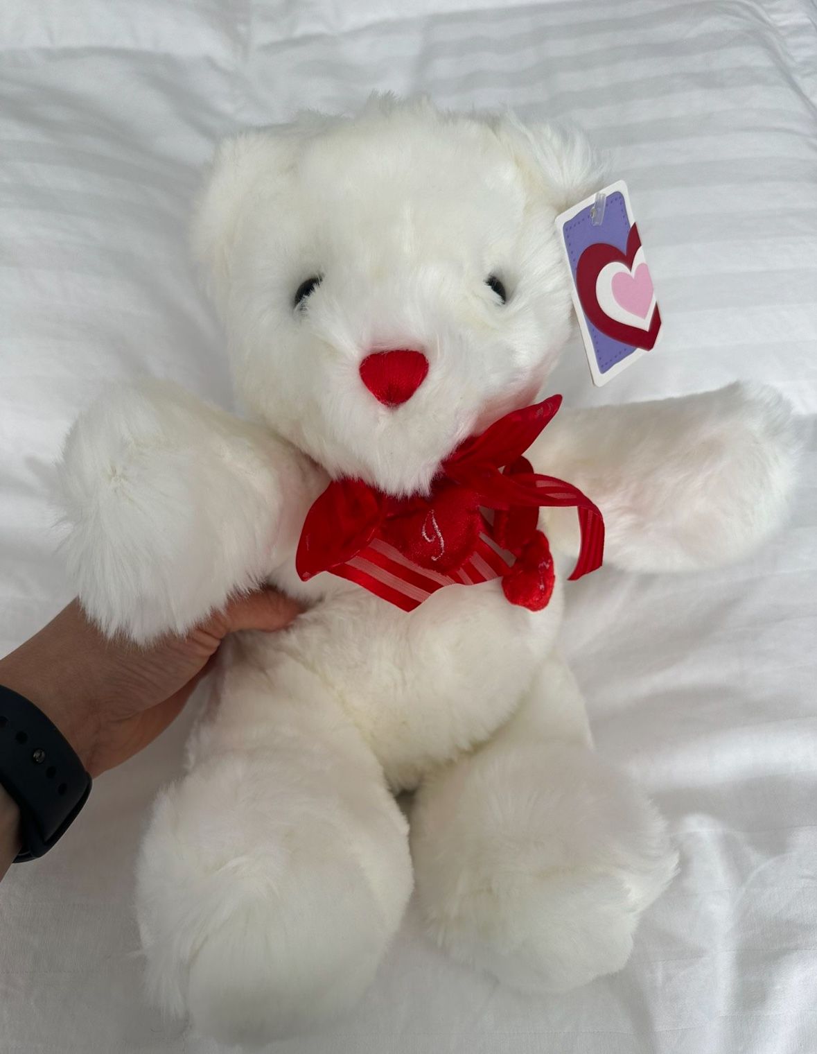NEW Valentine’s Day Teddy Bear White Teddy Bear