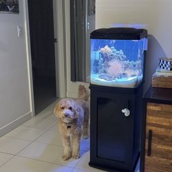 Coralife LED BioCube 16 Aquarium