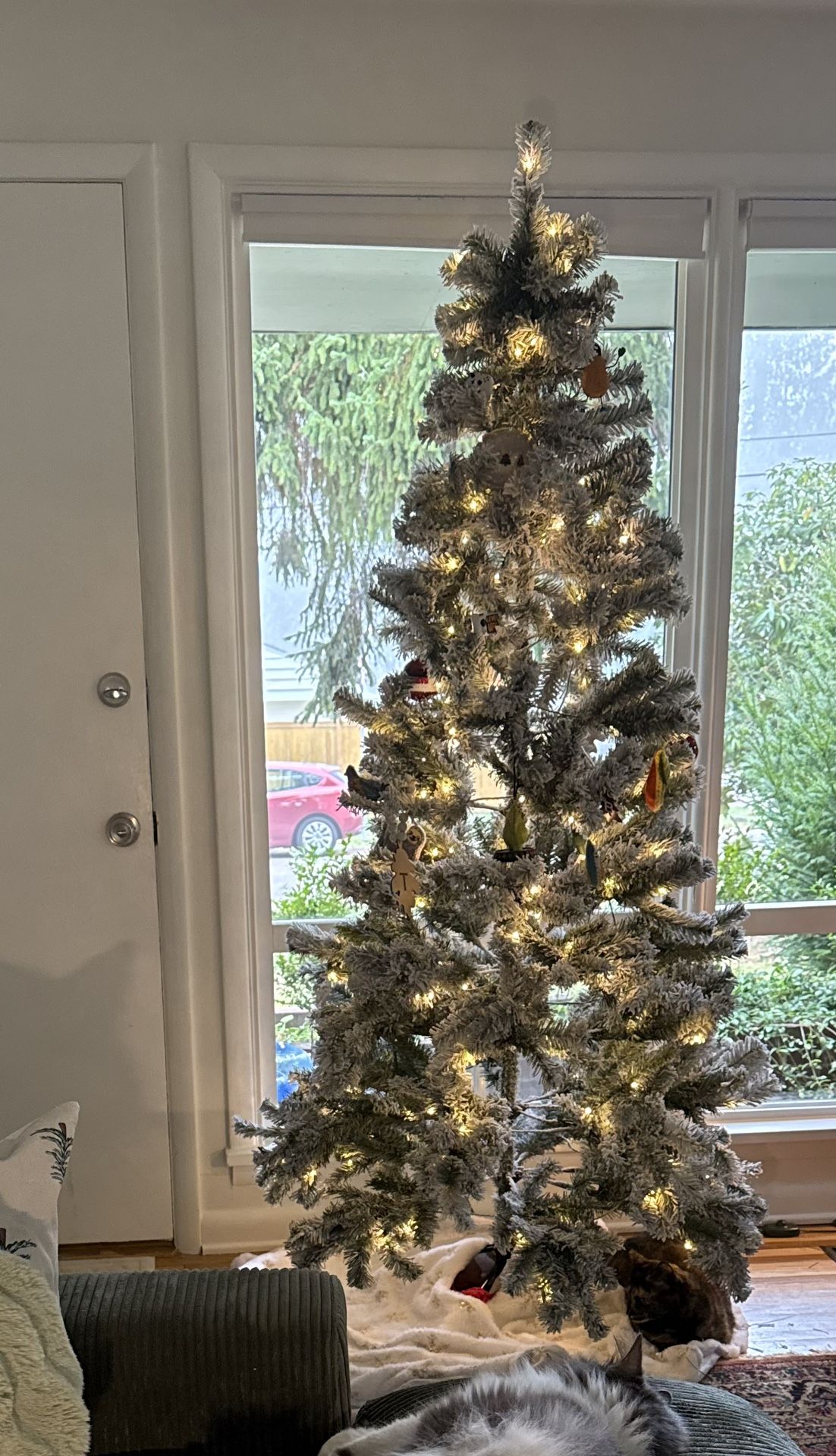 (PENDING PICKUP) Free Flocked Pine LED Pre-Lit Christmas Tree