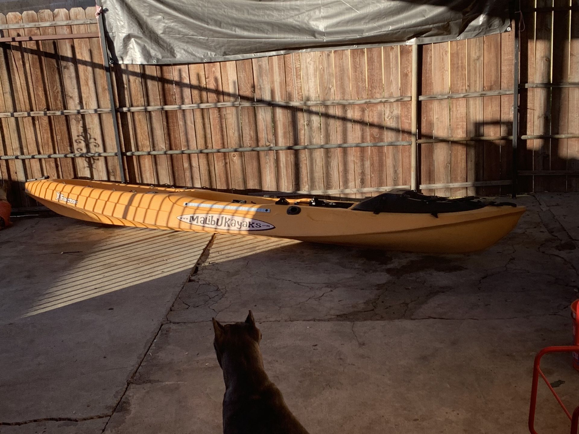 Kayak