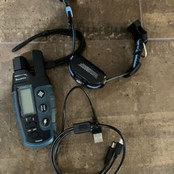 Dog Trainer And Collar 