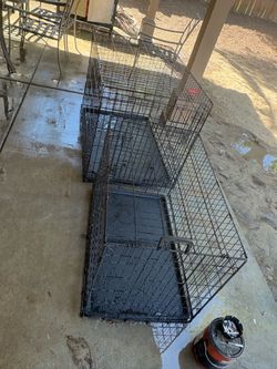 Dog Cages