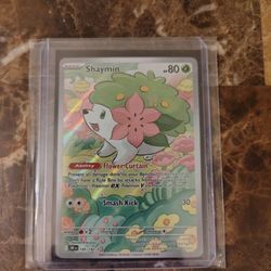 Shaymin SI🔥