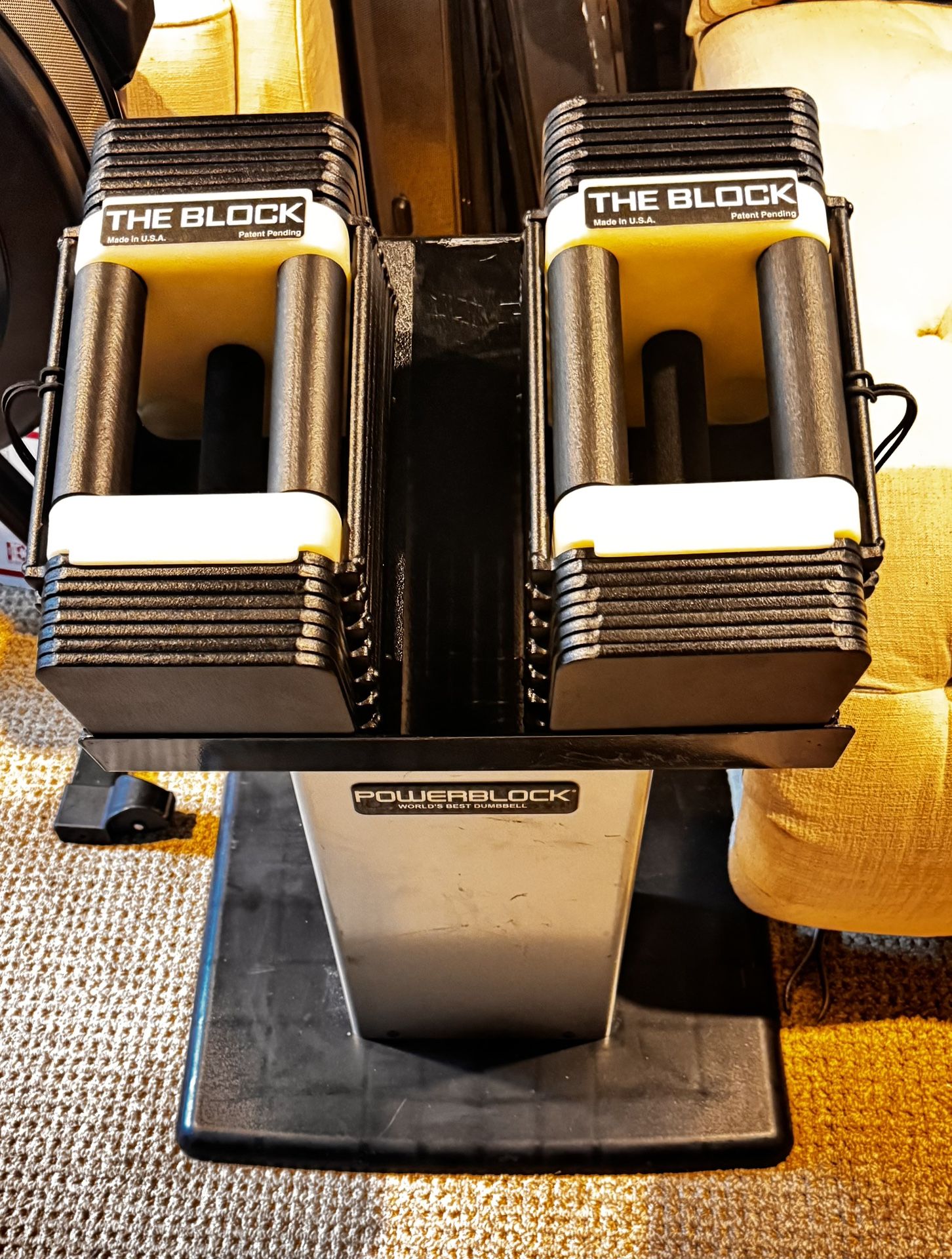 The Block 45lbs Pair & Stand