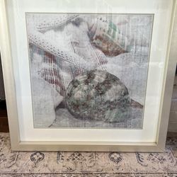 Shell Framed Art