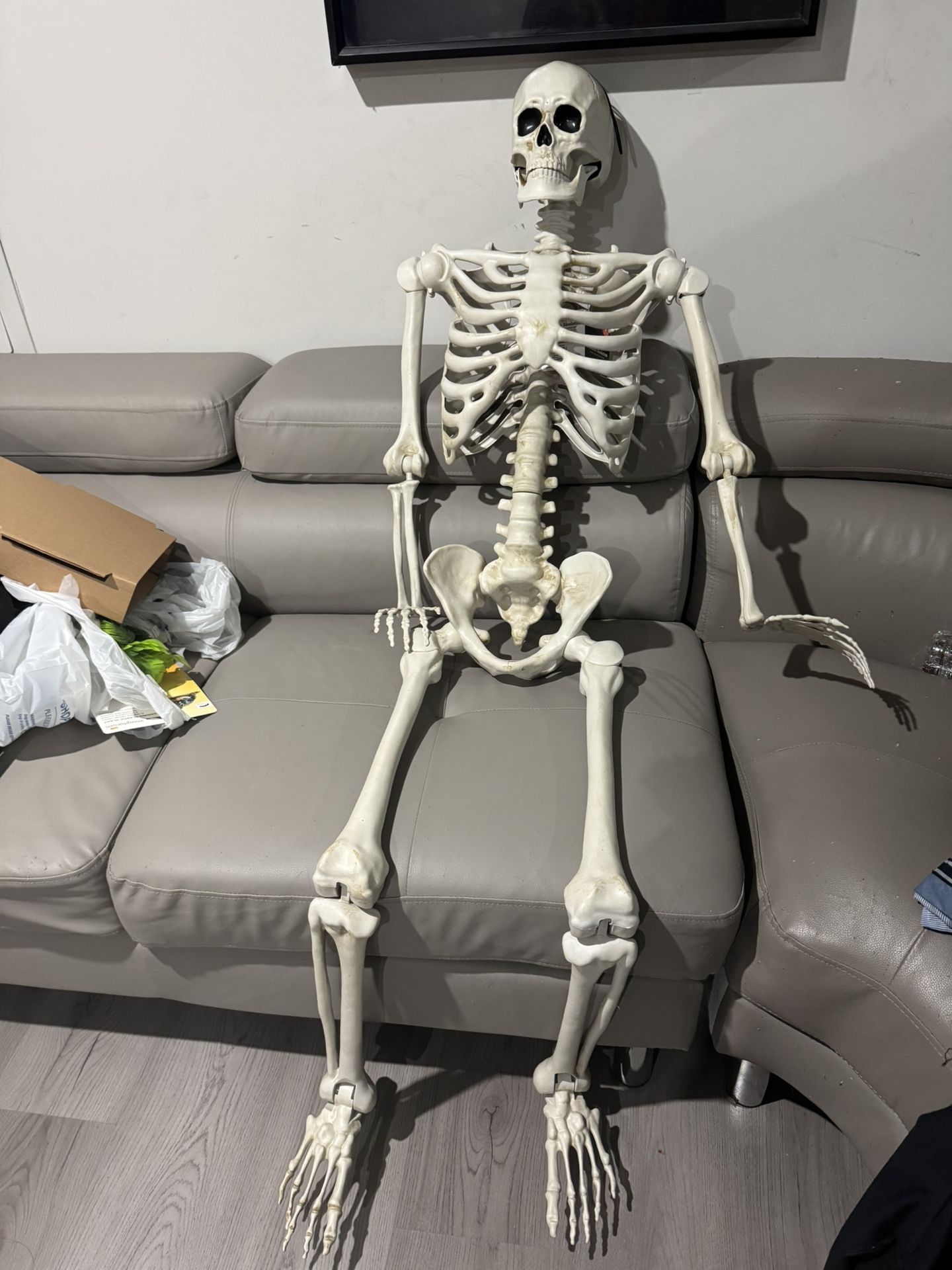 5ft Tall Skeleton