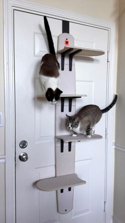 Door Hanging Cat Shelve