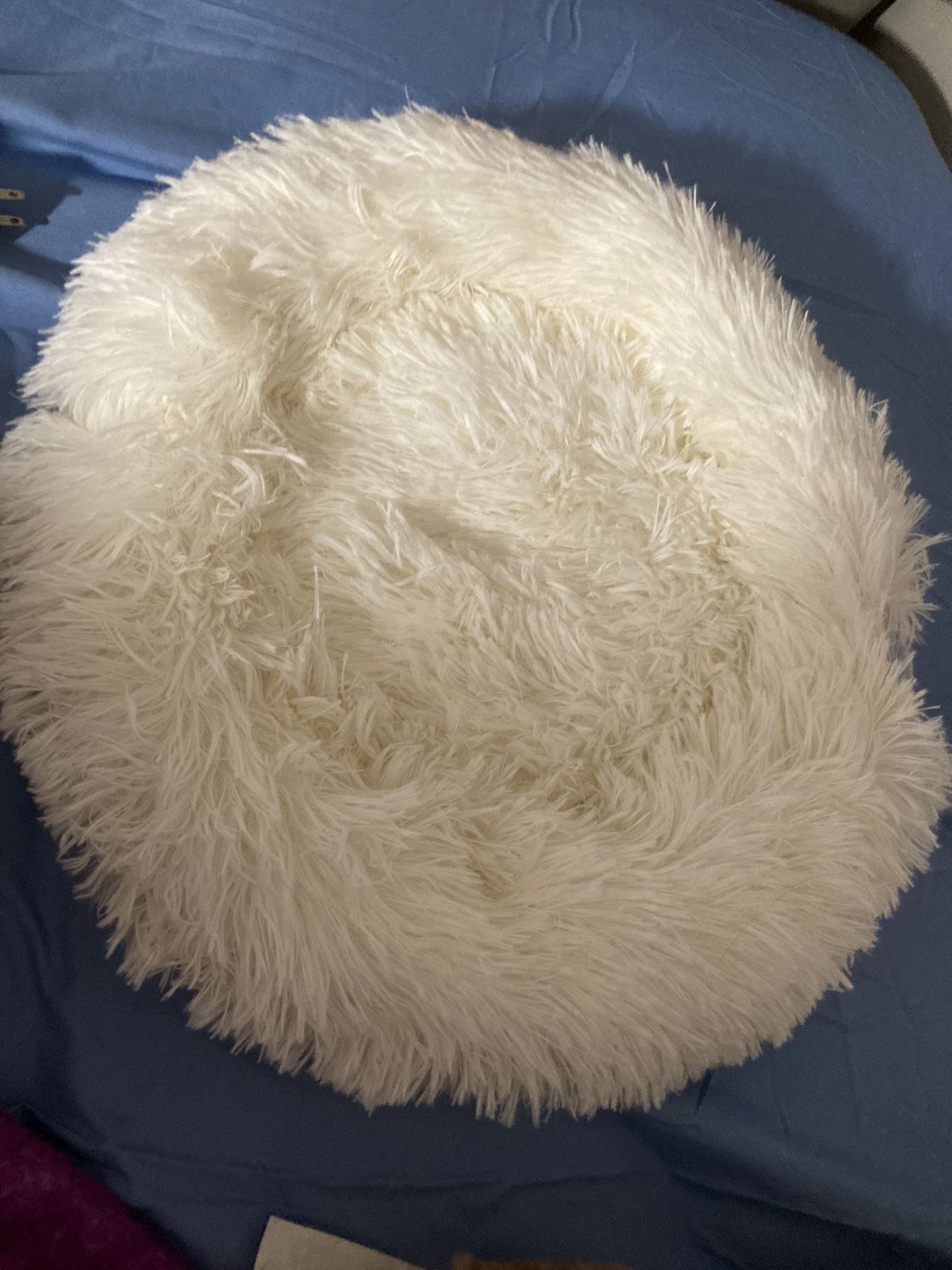 Small Dog Bed *new