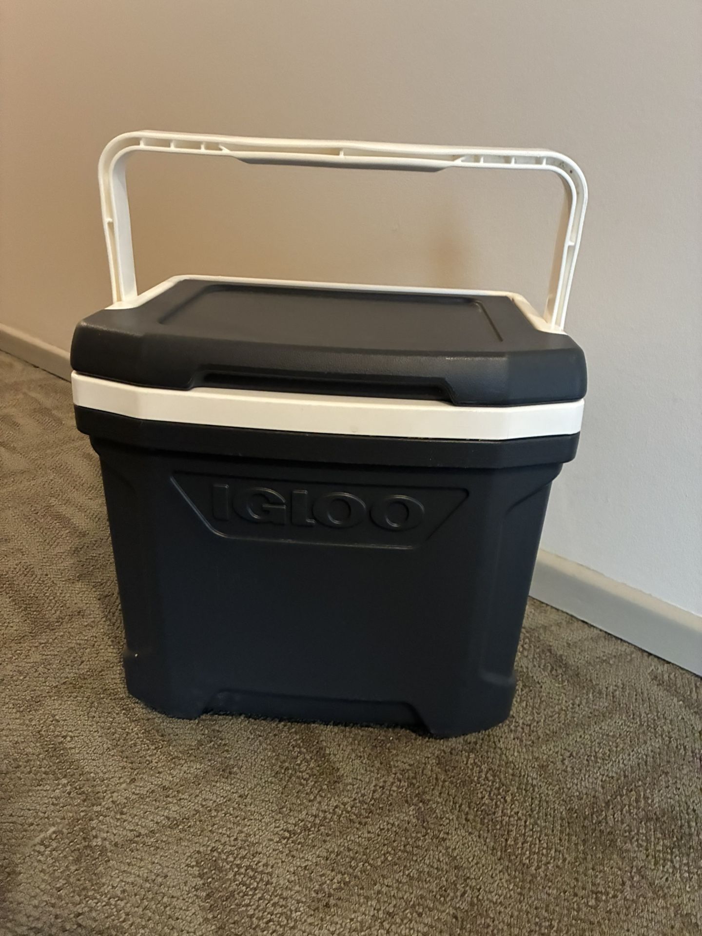 Igloo Medium Cooler