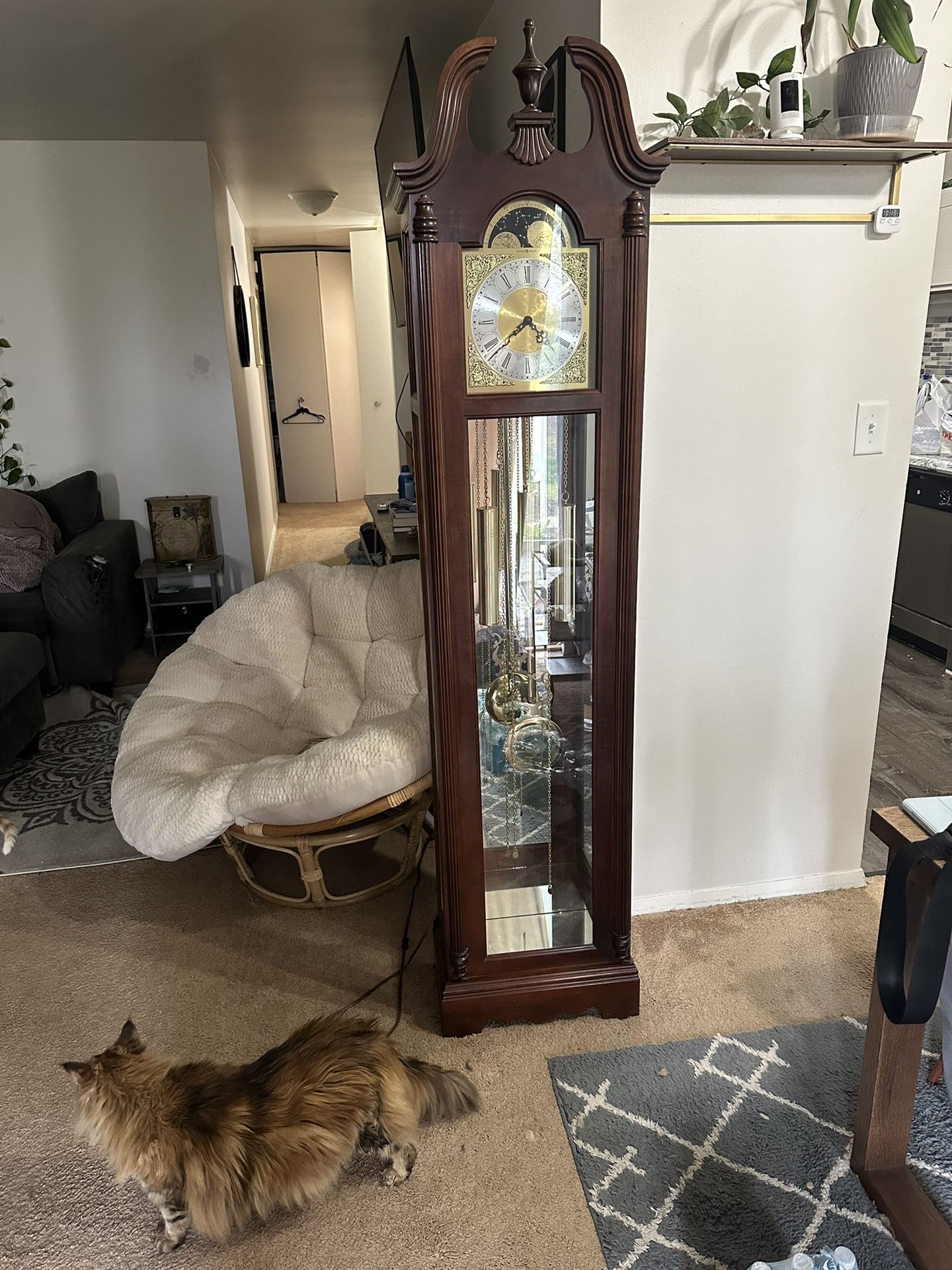 Howard Miller Grandfather Clock 610-733 -111 Series (contact info removed)3 Like New.