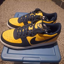 Nike SB dunk low