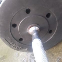 Curl Bar And 15 lb Plates