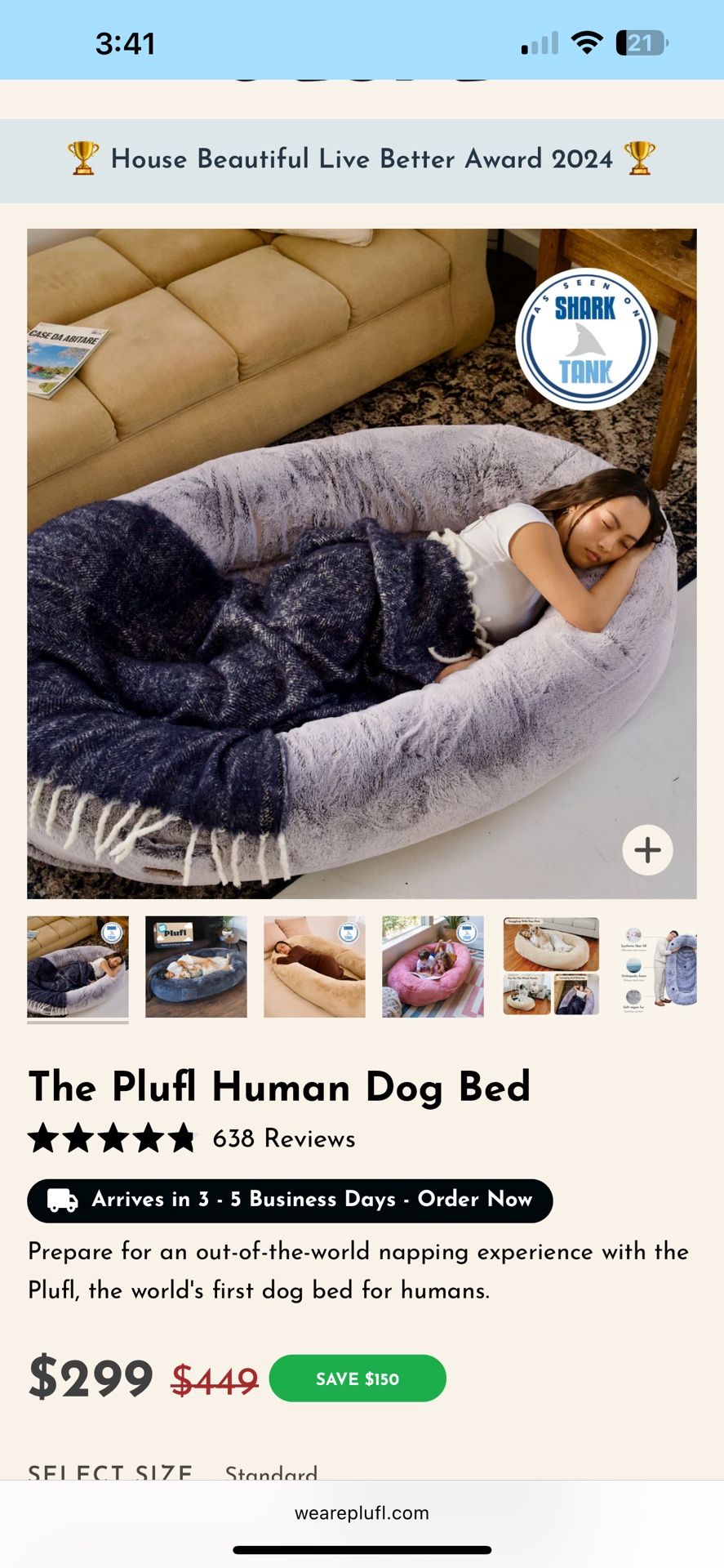 Human Size Dog Bed