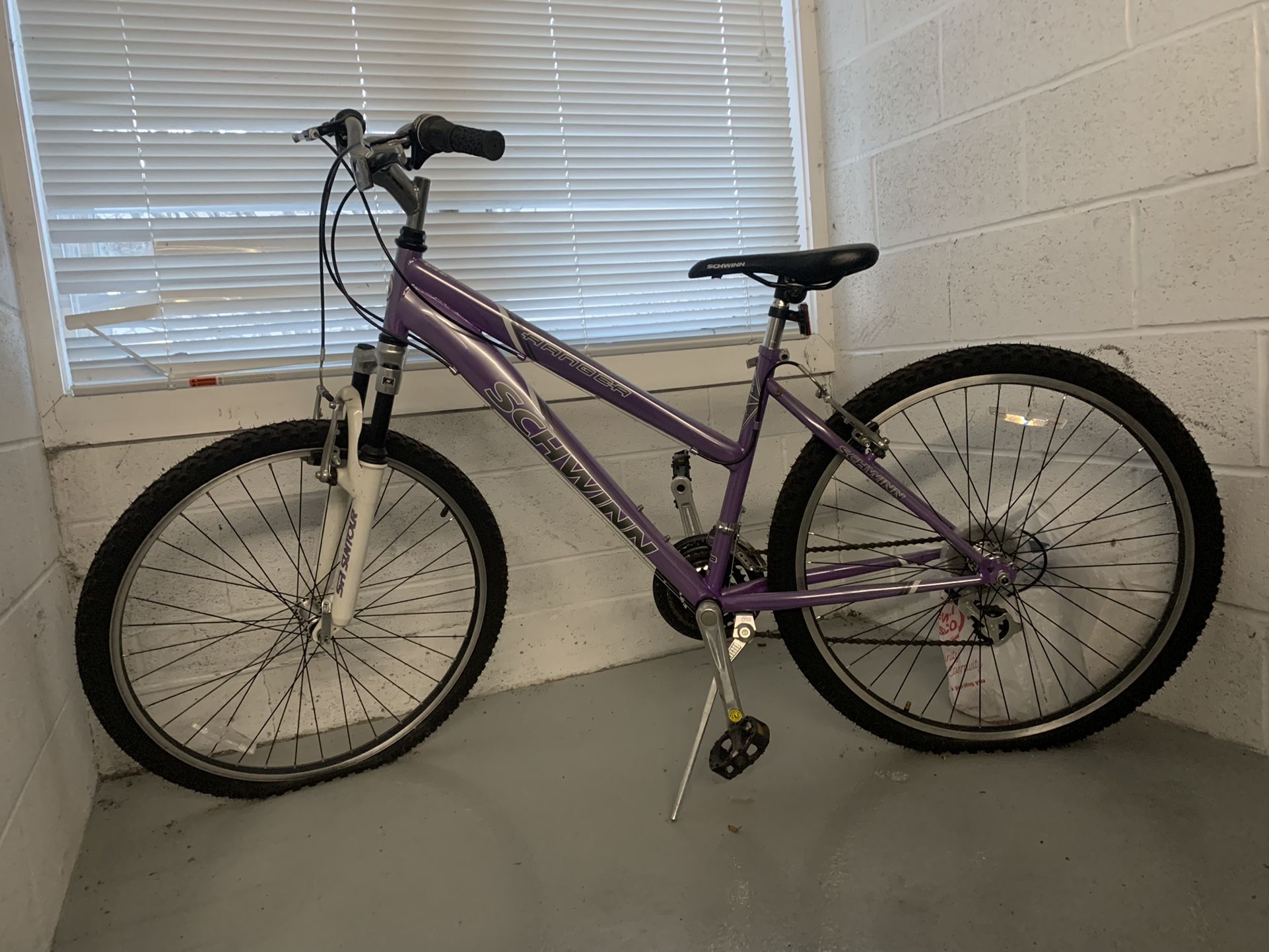 Purple Schwinn Adult Bike