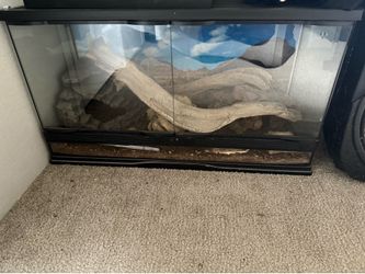Reptile tank