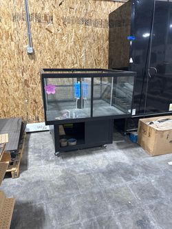 Large Pet Store Petter display for small animals