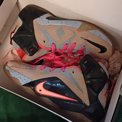 Nike LeBron 12 Easter