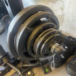 Weider pro Adjustable Weight Bench 