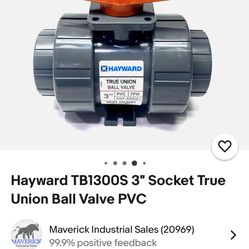 3 Inch PVC Ball Valve Hayward Commercial Grade New