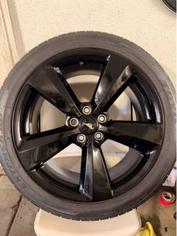 OEM 19” STOCKS