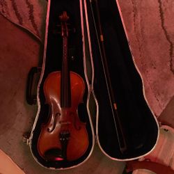 Hauer Young Fiddle