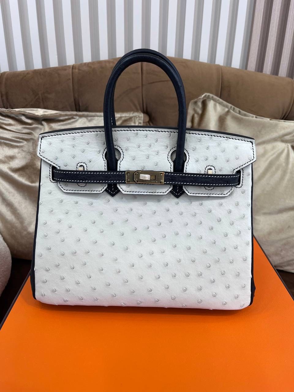 Hermès Birkin 25 Ostrich