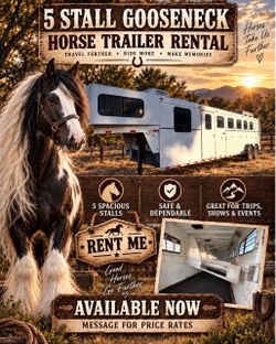 5 Horse Trailer