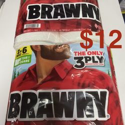 Brawny Paper Towels Set